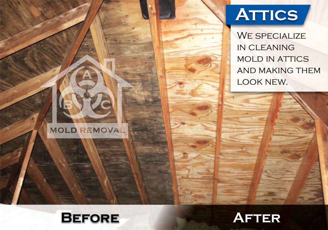 Removing mold stains from wood in attic