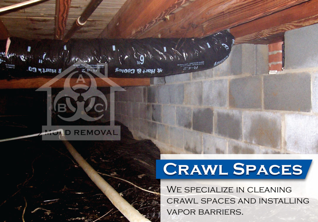 Crawl Space Mold Before and After